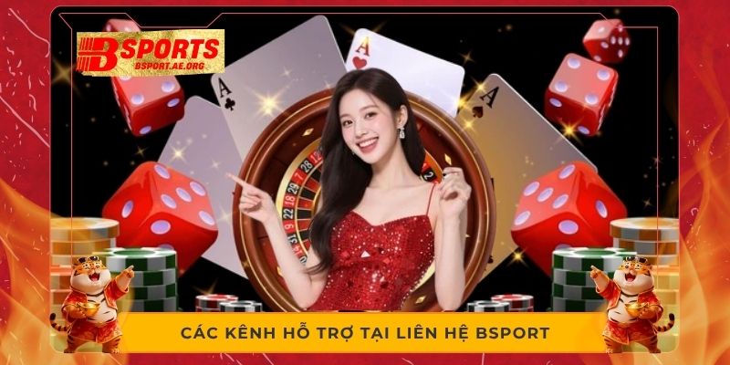 Các kênh hỗ trợ tại liên hệ Bsport 