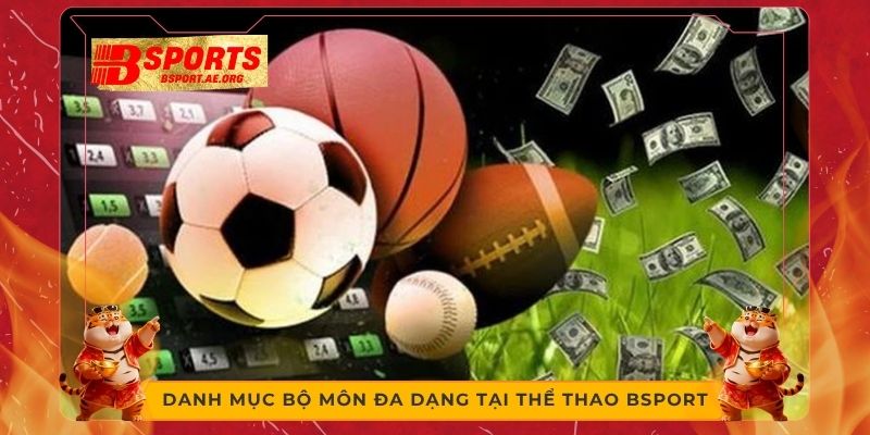 Danh mục bộ môn đa dạng tại thể thao Bsport
