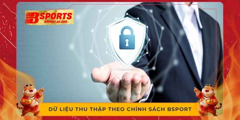 Dữ liệu thu thập theo chính sách Bsport