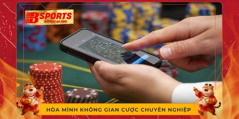 Hòa mình không gian cược chuyên nghiệp 