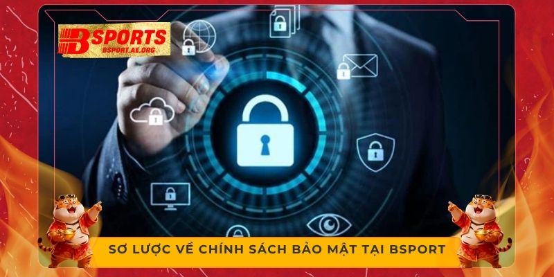Sơ lược về chính sách bảo mật tại Bsport