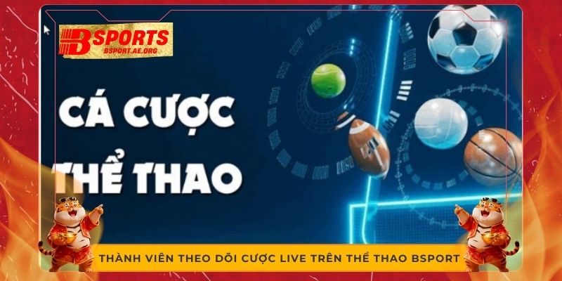  Thành viên theo dõi cược live trên thể thao Bsport