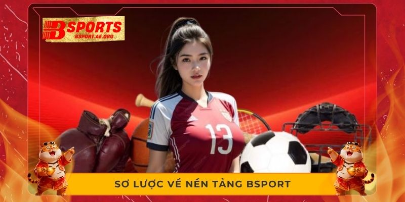 Sơ lược về nền tảng Bsport